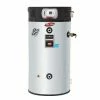 Best Pirce 🔥 Bradford White eF Series® 60 gal. Tall 125 MBH Natural Gas Commercial Water Heater 🛒 -Bradford White Shop Query 1220
