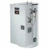 Cheapest 👍 Bradford White 19 gal 12kW Commercial Electric Water Heater 👏 -Bradford White Shop Query 1539