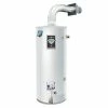 Flash Sale 🔔 Bradford White FVIR Defender Safety System® 48 gal. Tall 50 MBH Residential Natural Gas Water Heater ⌛