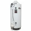 Budget 🌟 Bradford White Magnum Series® 65 gal. 370 MBH Natural Gas Commercial Water Heater 👏 -Bradford White Shop Query 907